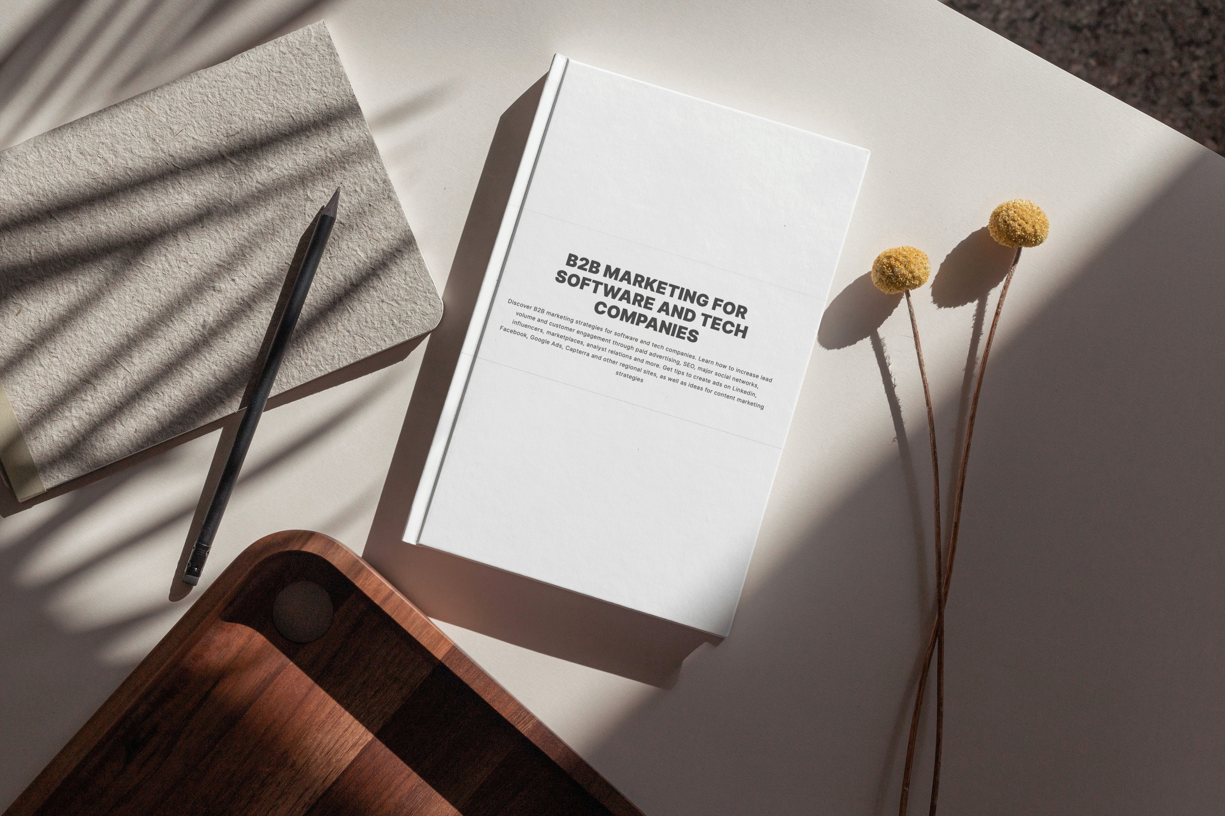 B2B Marketing for Software and Tech